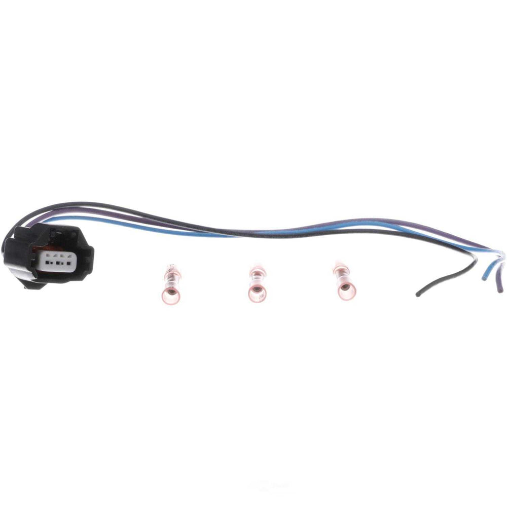 PT2443 BWD Pigtail & Socket