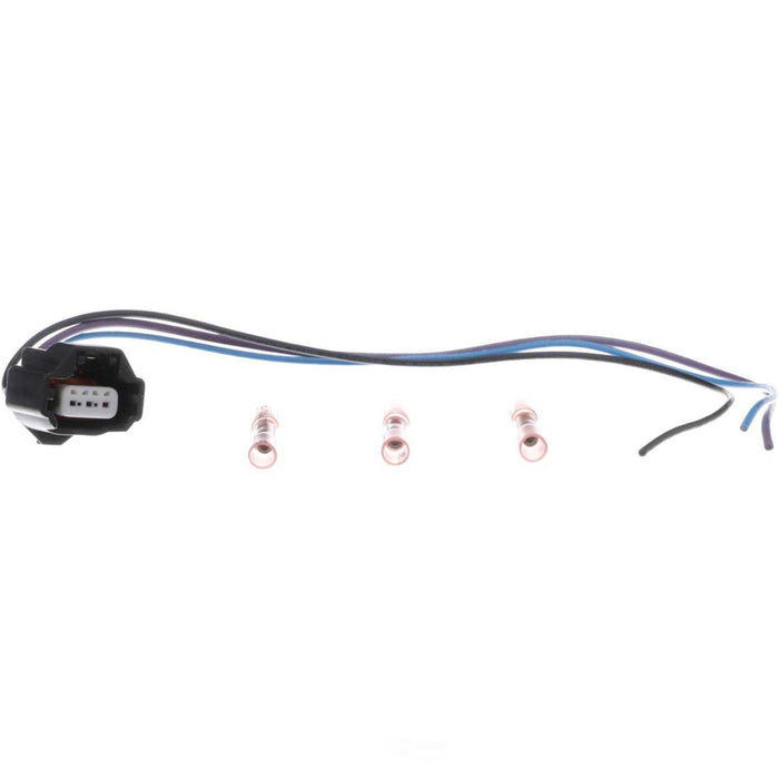 PT2443 BWD Pigtail & Socket
