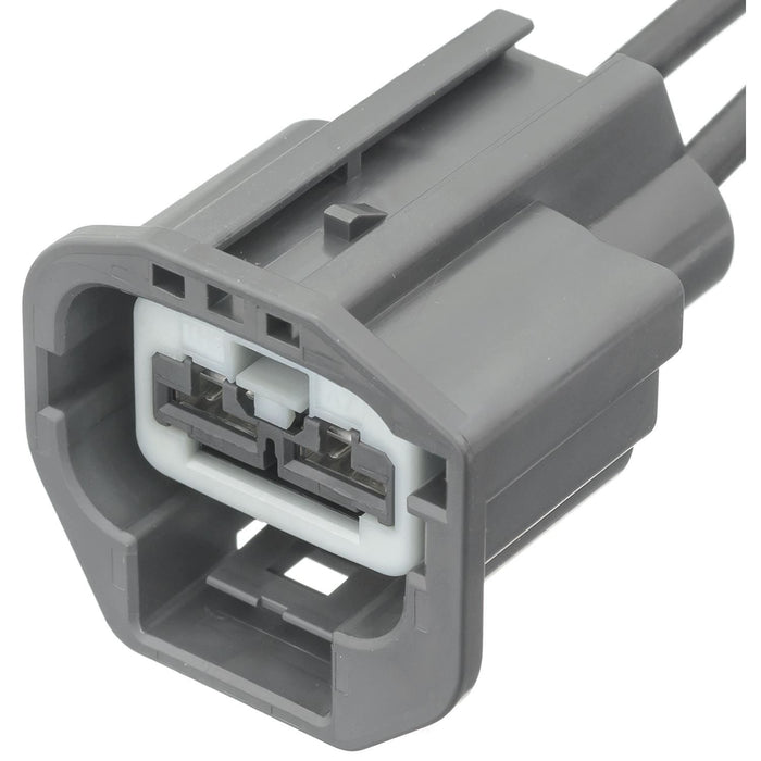 PT2519 BWD PIGTAIL AND SOCKET