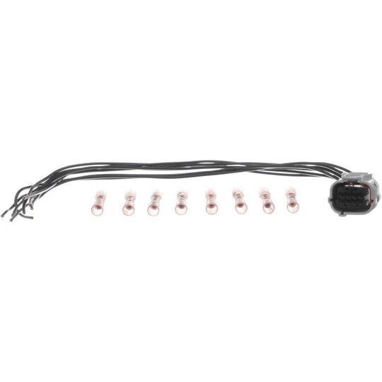 PT2801 BWD Pigtail and Socket