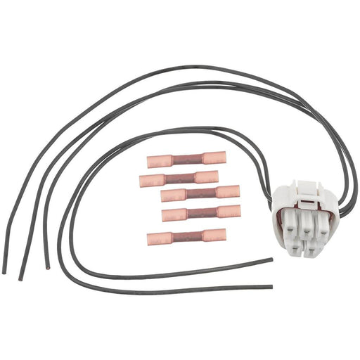 PT2855 BWD Pigtail and Socket