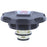 T111 RADIATOR CAP