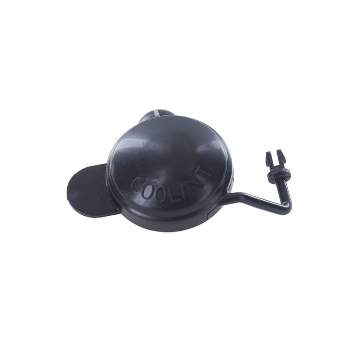 T163 Radiator Cap