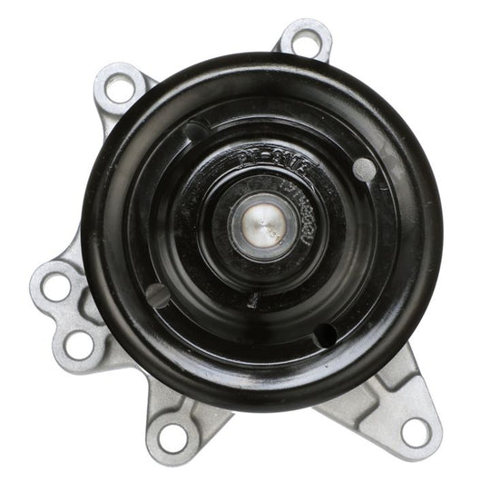 W9173M Carter Water Pumps