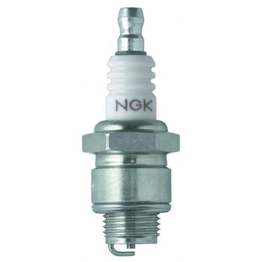 3481 NGK Spring/Summer Spark Plug, 1-pk