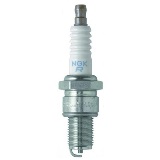 CR9E NGK Fall/Winter Spark Plug, 2-pk