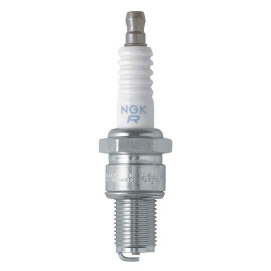 6263 NGK Fall/Winter Spark Plug, 1-pk