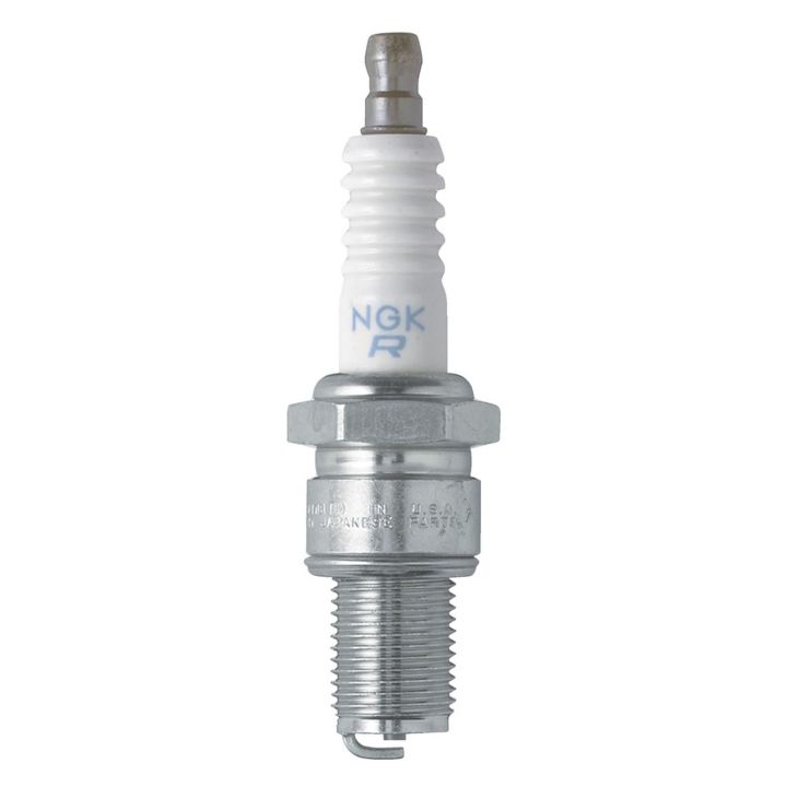 6263 NGK Fall/Winter Spark Plug, 1-pk