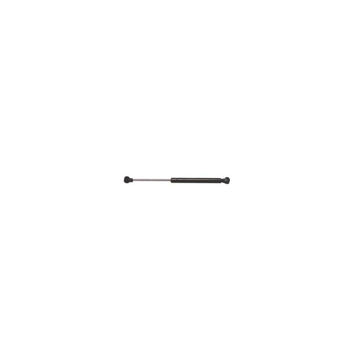 4079 Strong Arm Lift Support