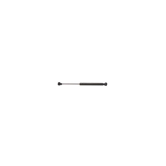 4417 Strong Arm Lift Support