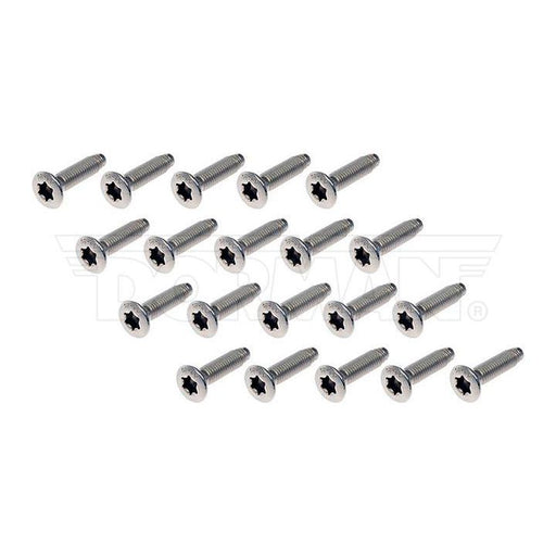 45998 Dorman HELP! 45998 Stainless Steel Door Hinge Screws