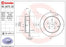 08.A273.21 Brembo Brake Rotor