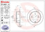 08.B667.11 Brembo Brake Rotor