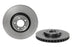 09.A773.11 Brembo Brake Rotor