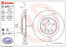 09.B503.11 Brembo Brake Rotor