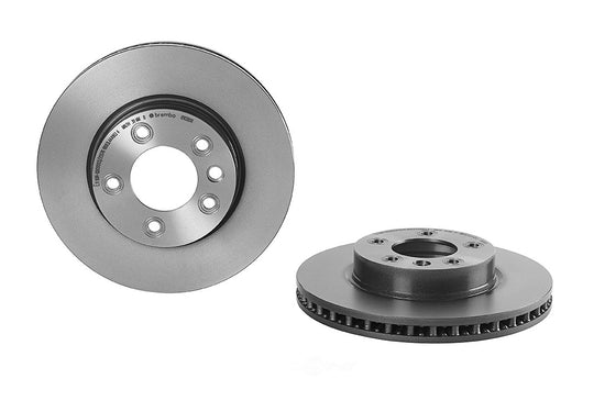 09.C881.11 Brembo Brake Rotor