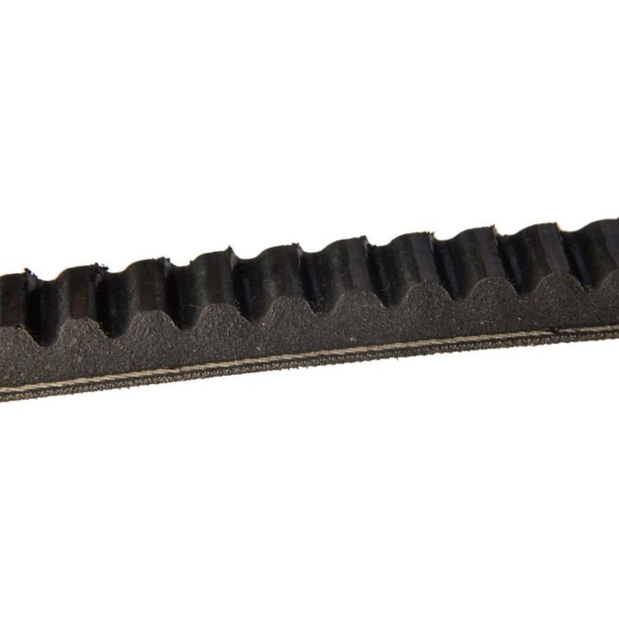 15440 Continental V-Belt