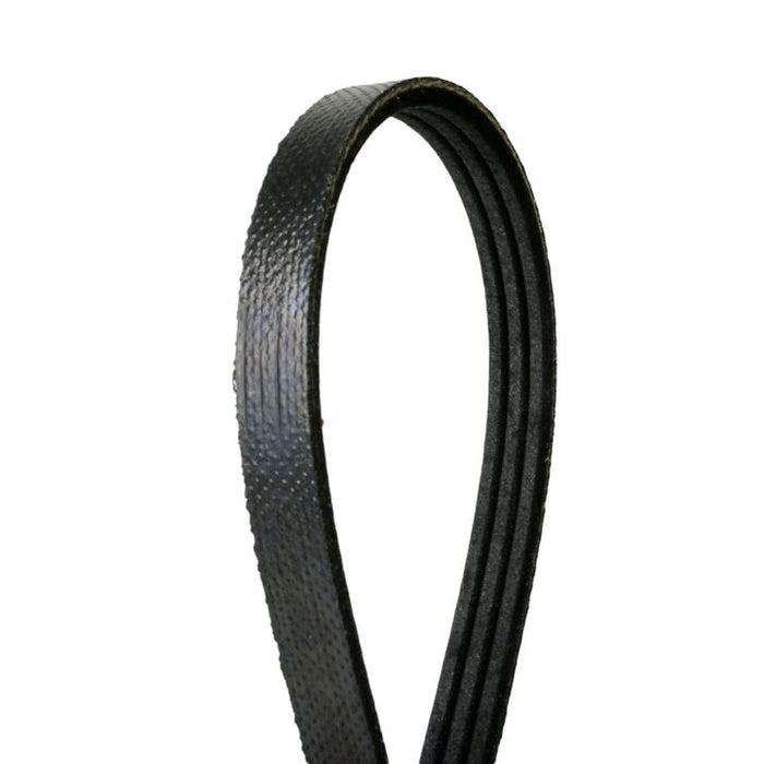 4070640 Continental Elite Premium Elite Belt