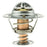 242-170 Motorad OE Type Thermostat