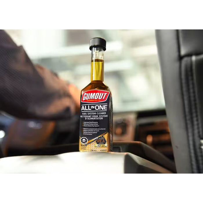 Gumout 30001 All-in-One® Fuel System Cleaner, 296-mL