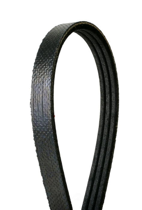 4030195S Continental Premium Belt