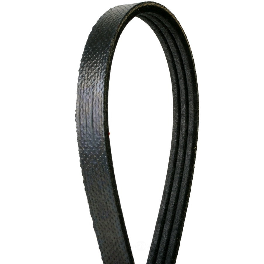 4030199S Continental Serpentine Belt