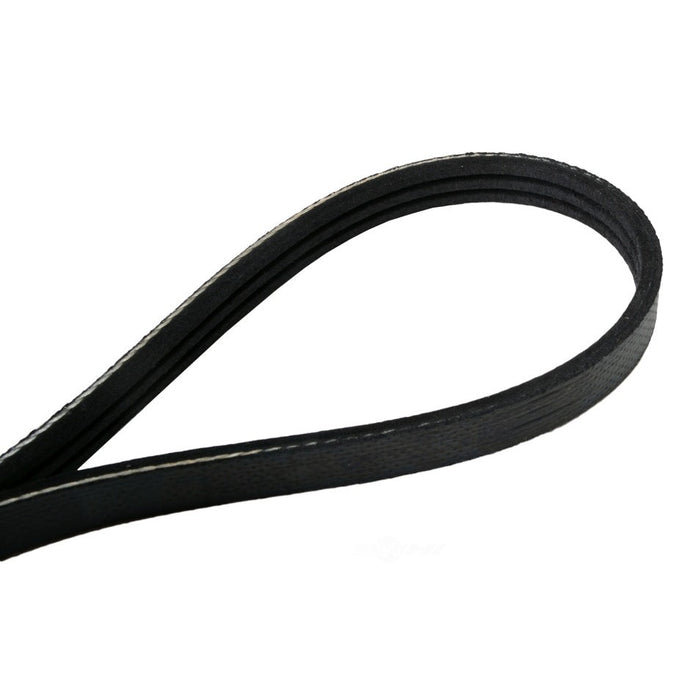 4030199S Continental Serpentine Belt