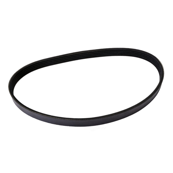 4050595 Continental Serpentine Belt