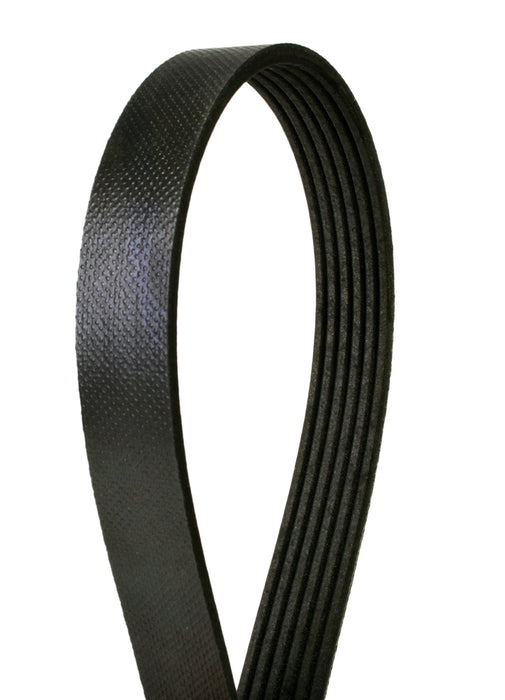 4060627 Continental Elite Premium Elite Belt