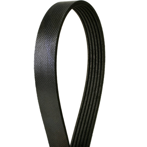 4060707 Continental Serpentine Belt