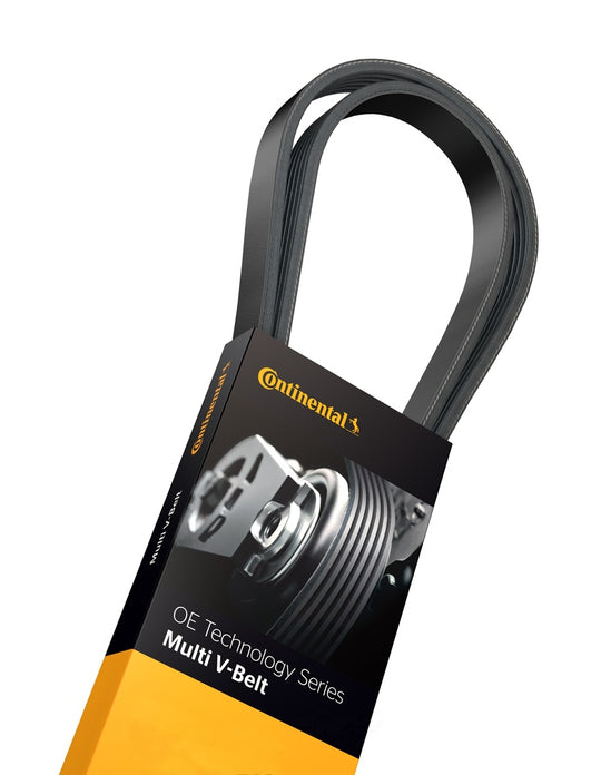 4070381F Continental Elite Premium Elite Belt