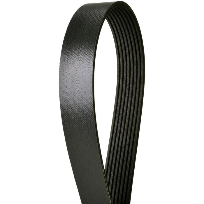 4081350 Continental Serpentine Belt