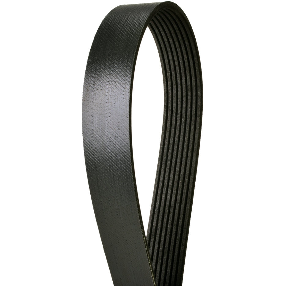 4080582 Continental Serpentine Belt