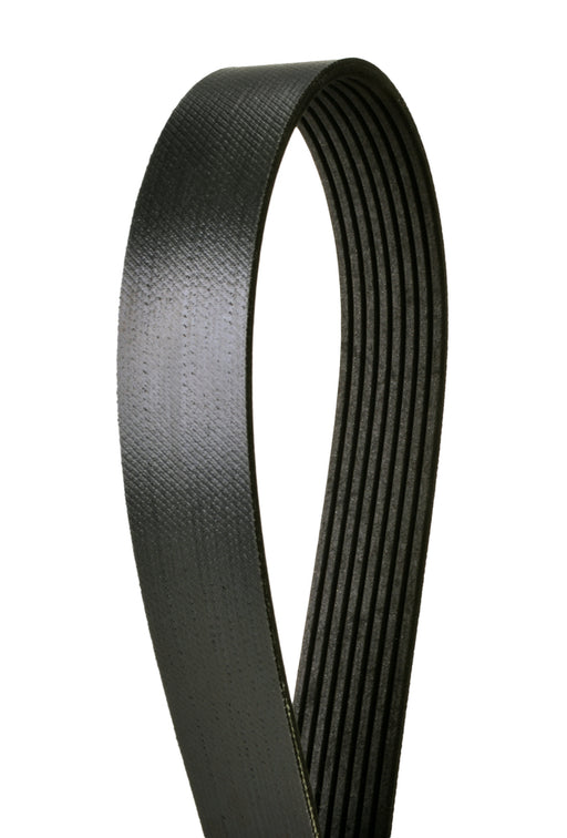 4081258 Continental Serpentine Belt