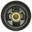 423-195 Motorad OE Type Thermostat