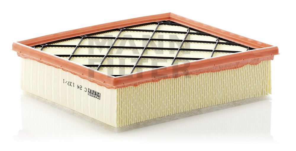 C24-137/1 MANN Air Filter