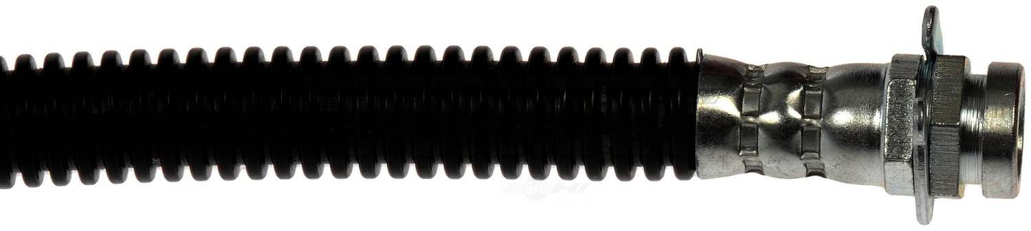 H620832 Dorman First Stop Brake Hose