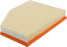 CA10022 FRAM Extra Guard Air Filter