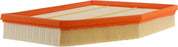 CA10022 FRAM Extra Guard Air Filter