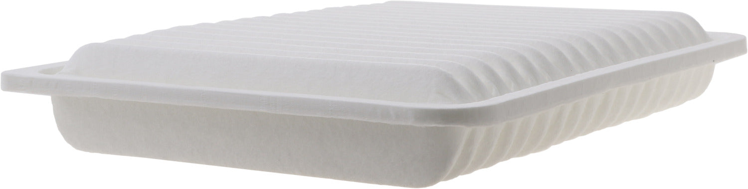 CA10163 FRAM Extra Guard Air Filter