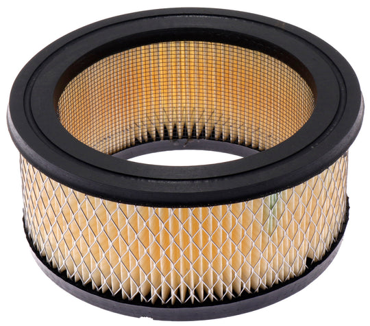 CA101 FRAM Extra Guard Air Filter