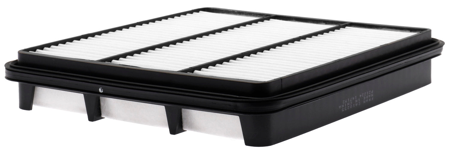 CA10255 FRAM Extra Guard Air Filter