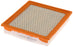 CA10516 FRAM Extra Guard Air Filter