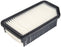CA10699 FRAM Extra Guard Air Filter