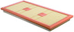CA11439 FRAM Extra Guard Air Filter