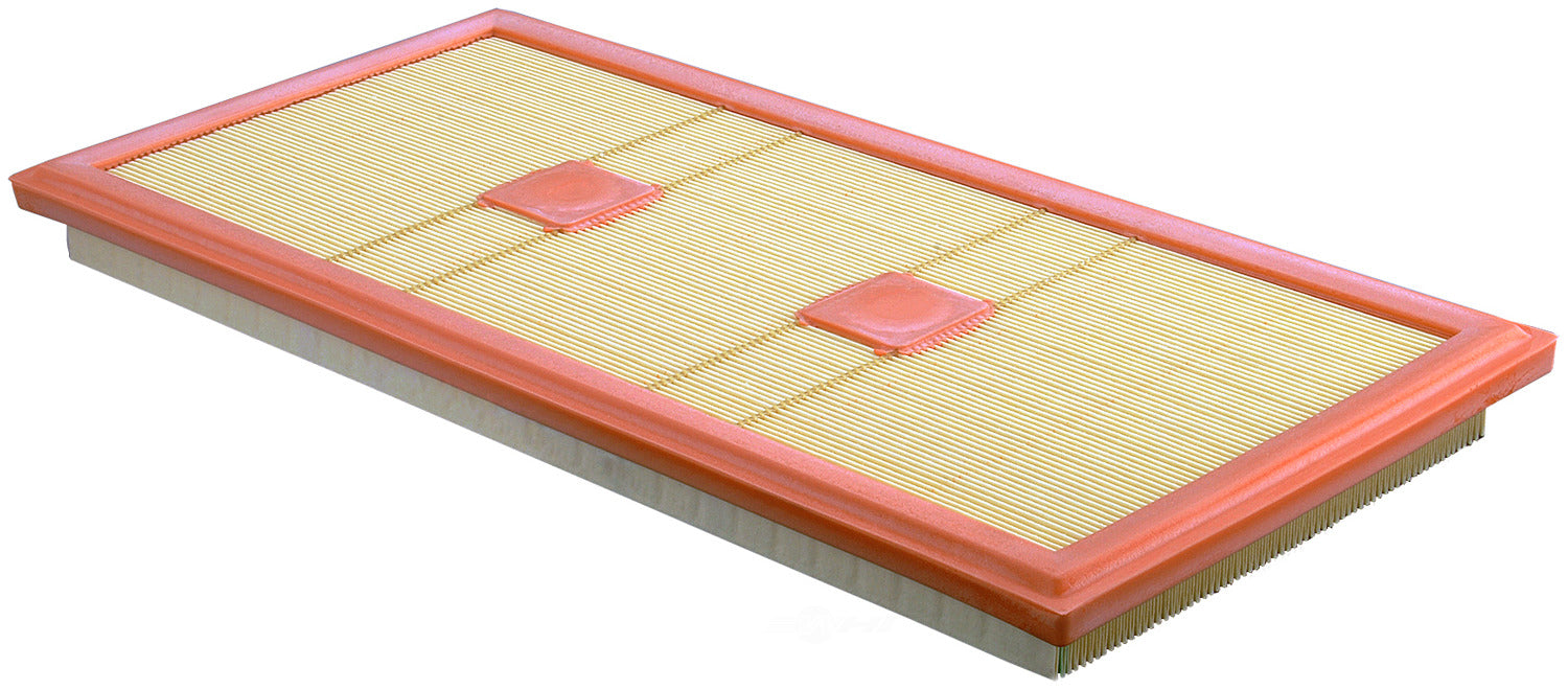 CA11439 FRAM Extra Guard Air Filter