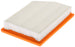 CA11877 FRAM Extra Guard Air Filter
