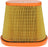 CA12062 FRAM Extra Guard Air Filter