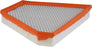 CA12166 FRAM Extra Guard Air Filter