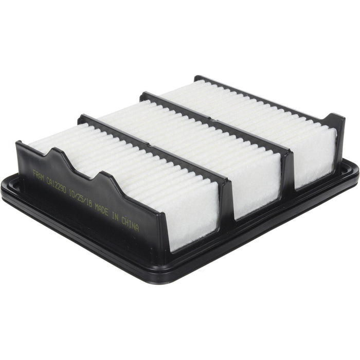 CA12290 FRAM Extra Guard Air Filter